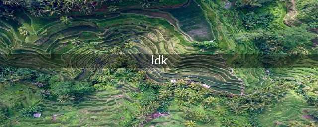 解读日本住宅 | 1DK、1LDK、2LDK，你能看懂吗？(ldk)