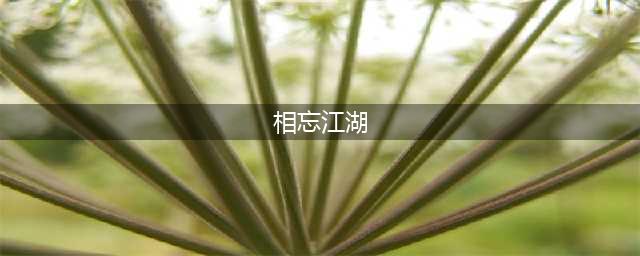 相忘江湖的出处、释义、典故、近反义词及例句用法 - 成语知识(相忘江湖)