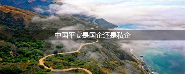 中国平安不是“国企”？官方给出明确答案，背后大股东是何来头？(中国平安是国企还是私企)