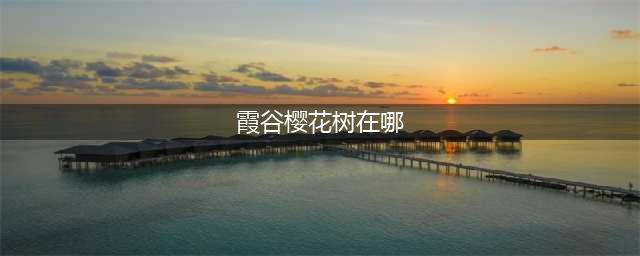 光遇霞谷樱花树在哪 霞谷樱花树位置一览
