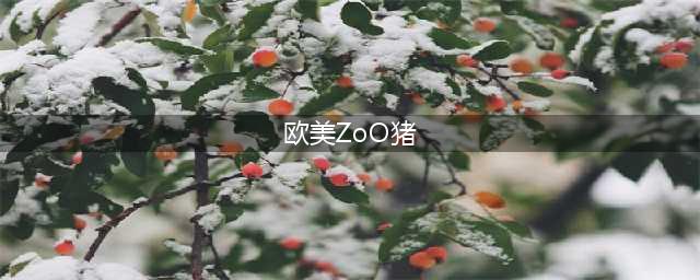 本命年的“金猪宝宝”们来啦~(欧美ZoO猪)