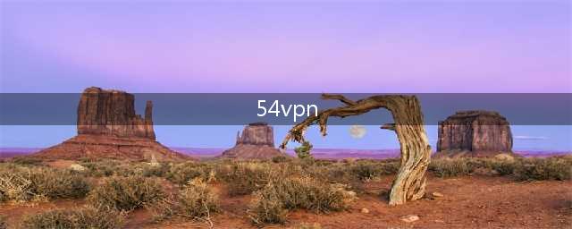 VPN轻松畅游校园网(54vpn)