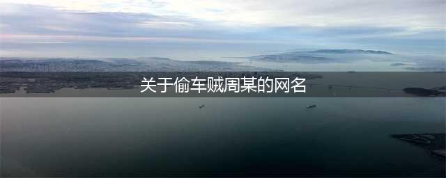 “永不打工”的偷车贼周某，为什么成了网红？(关于偷车贼周某的网名)