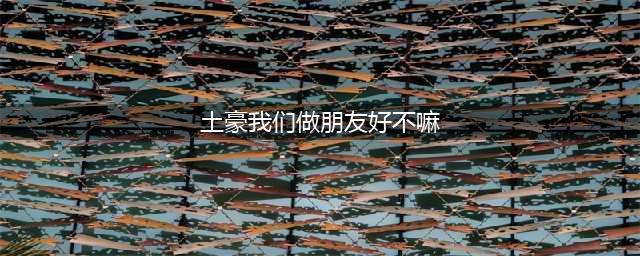 土豪，我们做朋友好不好(土豪我们做朋友好不嘛)