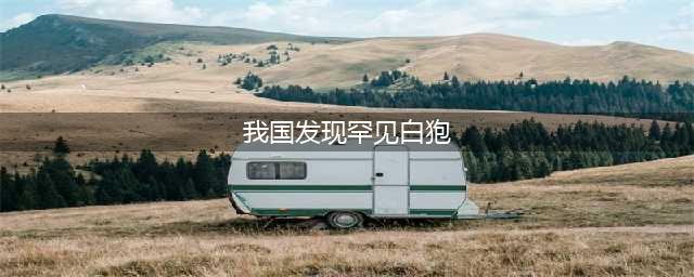 我国发现罕见野生动物白狍(我国发现罕见白狍)