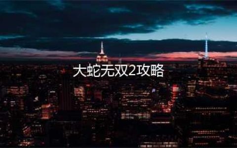 无双大蛇2终极版属性搭配攻略 全装备属性效果及强度讲解(大蛇无双2攻略)