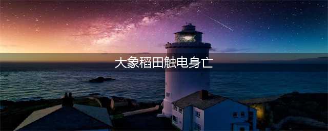 大象稻田触电身亡 印度遭遇百年旱灾野生动物处境堪忧!(大象稻田触电身亡)