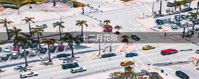 和孩子一起读十二月花名歌，新的一年，新的养花生活~(十二月花歌)