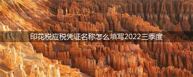 新《印花税税源明细表》中的“应税凭证名称”如何填写？(印花税应税凭证名称怎么填写2022三季度)