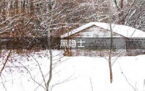 泰拉瑞亚黑隐士在哪 黑隐士掉落和打法详解