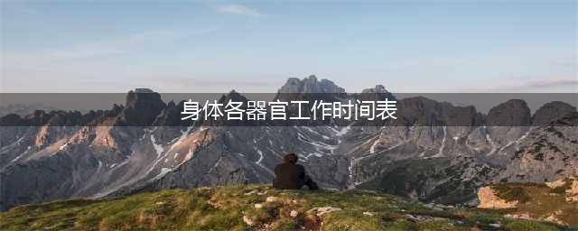 人体各器官工作时间表(身体各器官工作时间表)