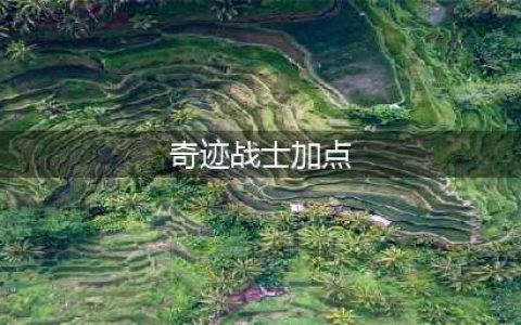 《奇迹MU：觉醒》战士详细介绍 战士加点流派推荐(奇迹战士加点)
