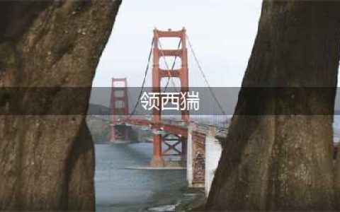 《荒野大镖客2》领西猯怎么样 领西猯属性分享(领西猯)