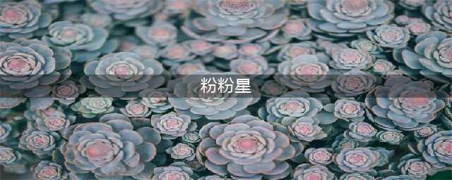 洛克王国粉粉星技能表图鉴一览(粉粉星)