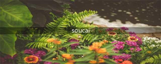 真诚推荐几个大牛的公众号，都很厉害！(soucai)