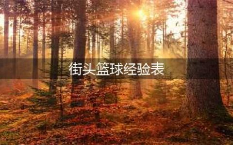 街头篮球新手怎么快速升级 街头篮球新手快速升级技巧(街头篮球经验表)