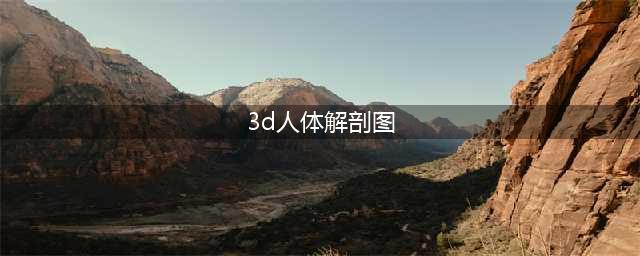 3D人体解剖图-高清的哦，希望对大家有帮助(3d人体解剖图)