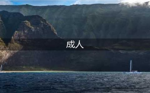 不容错过的国外黄色系网站大全(成人)