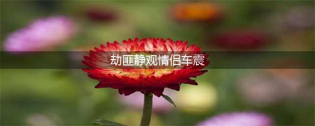劫匪静观情侣车震 仿电视手法实施抢劫仿电视手法实施抢劫(劫匪静观情侣车震)