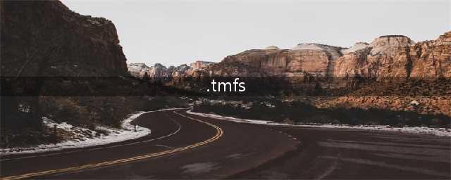 TmFs好玩吗 TmFs玩法简介