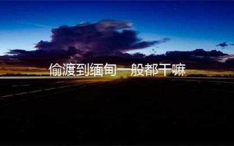 偷渡客偷渡缅甸的悲惨经历(偷渡到缅甸一般都干嘛)