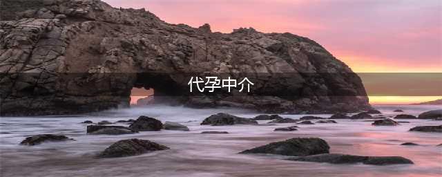 代孕中介的“好生意”：88万套餐包性别、出生证！不乏在校大学生参与(代孕中介)