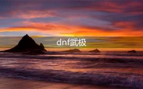 《DNF》2021武极技能怎么点 武极技能加点推荐(dnf武极)