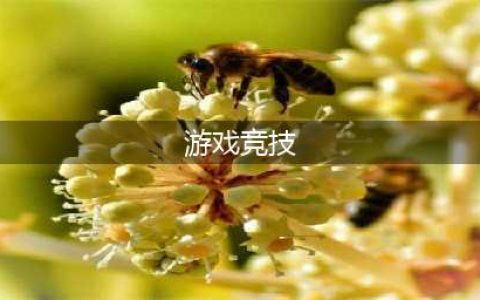 竞技游戏网游手游排行榜前十名推荐2021 最公平激烈竞技游戏推荐(游戏竞技)