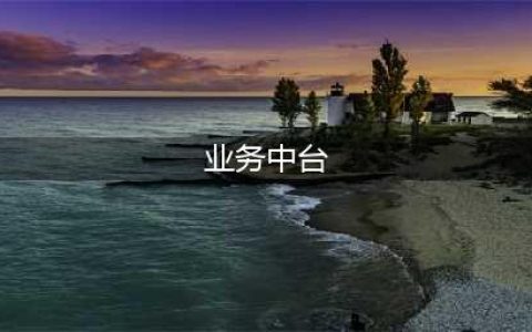 什么是业务中台，中台和微服务的关系(业务中台)