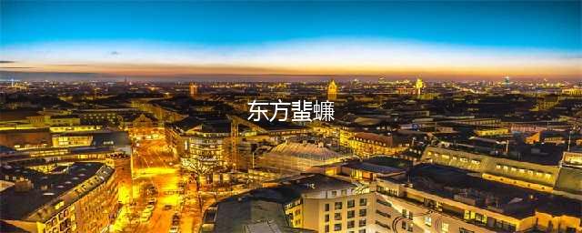 世界上最大的蟑螂，东方蜚蠊（长达10厘米）(东方蜚蠊)