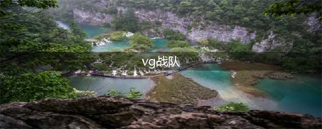 《LOL》2020LPL夏季赛阵容VG战队人员名单 VG战队参赛人员表一览(vg战队)
