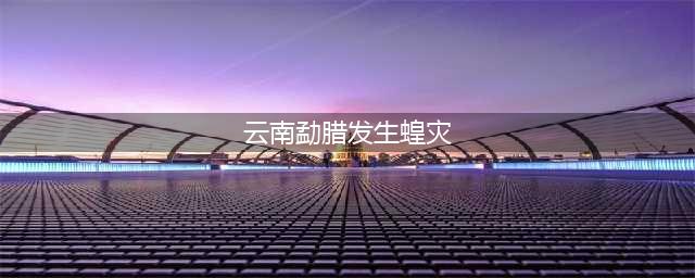 云南勐腊县发生蝗灾受灾面积达1214亩，为境内虫源(云南勐腊发生蝗灾)