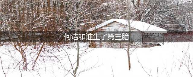 刁磊承认何洁诞下第三胎孩子，一家5口合照曝光七宝宝妹笑容满面(何洁和谁生了第三胎)