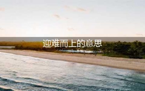 《荒野乱斗》迎难而上什么意思 迎难而上意思介绍(迎难而上的意思)