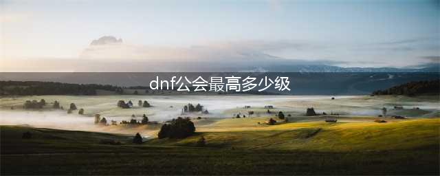 《dnf手游》公会最多几人 公会人数上限一览(dnf公会最高多少级)