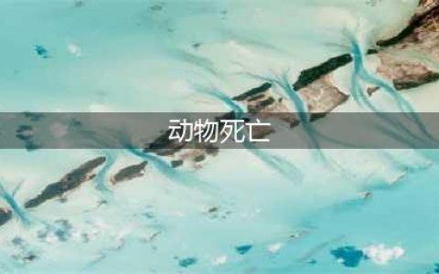 这7个动物死亡事件证明动物真的会自杀！(动物死亡)