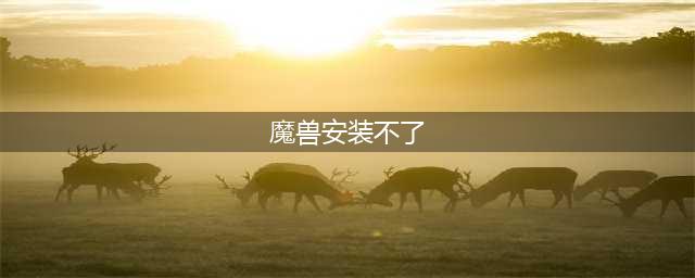《魔兽世界怀旧服》安装出错怎么解决 安装出错解决攻略