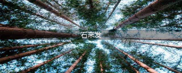 听奶奶的话，一个井冈山保安的故事(石来发)