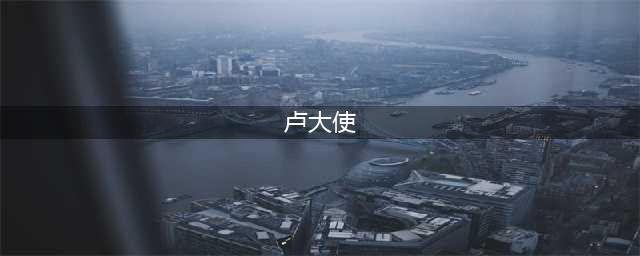 卢大使豪言壮语，东欧诸国哗然！最好的防守是进攻，很多人没看懂(卢大使)