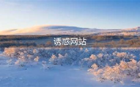揭秘十大高品质国外色情网站(诱惑网站)
