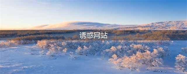 揭秘十大高品质国外色情网站(诱惑网站)