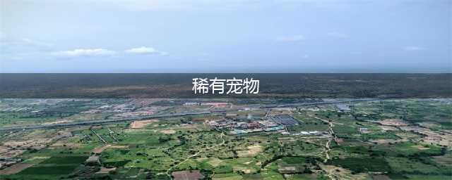 全球十大稀有宠物，你见过几种！最后两个见了都怕更不要说饲养了(稀有宠物)