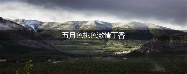 盘点100种月季玫瑰的品种特点，看你熟悉多少种？(五月色桃色激情丁香)