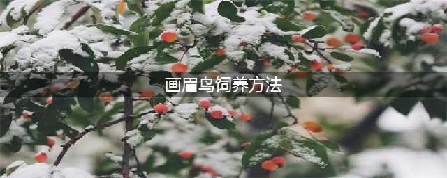 如何饲养画眉鸟？饲养画眉鸟要注意这5个不要！(画眉鸟饲养方法)