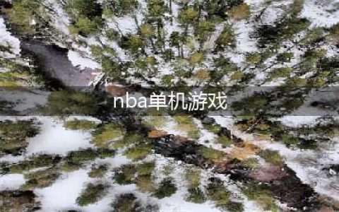 nba游戏单机版中文版下载2022 有哪些好玩的nba题材手游(nba单机游戏)