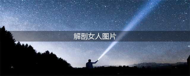 女性外阴解剖图(解剖女人图片)