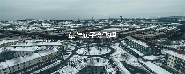 百足飞腿｜蚰蜒（草鞋底子）(草鞋底子会飞吗)