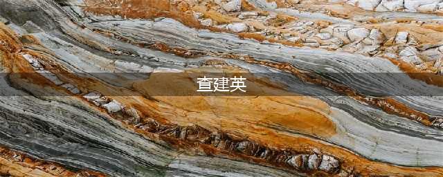 40年，中国女性之光(查建英)