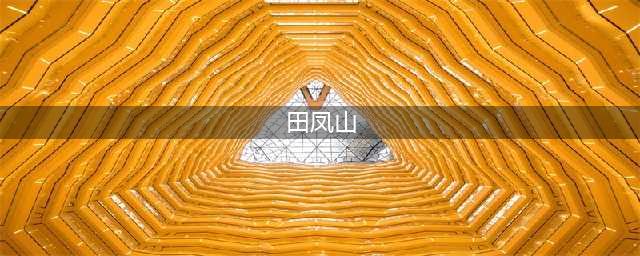 “土豹子”贪官田凤山一个省部级高官的畸形人生(田凤山)