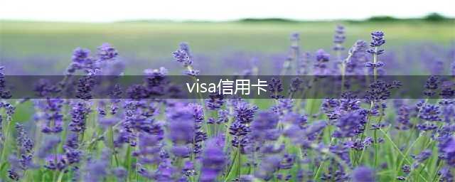 银联、VISA、万事达，傻傻分不清楚？这份选卡指南请收好！(visa信用卡)